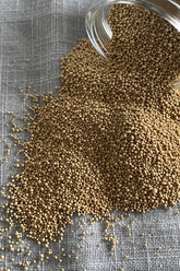 Baking yeast (Fleishman's)